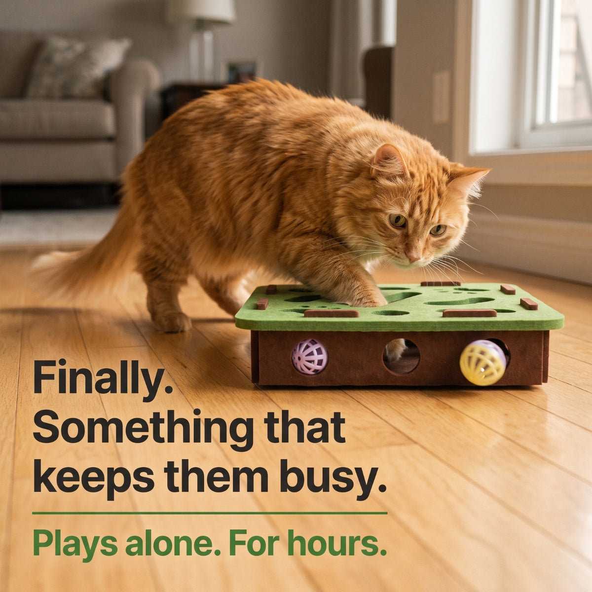 Cat Puzzle Box